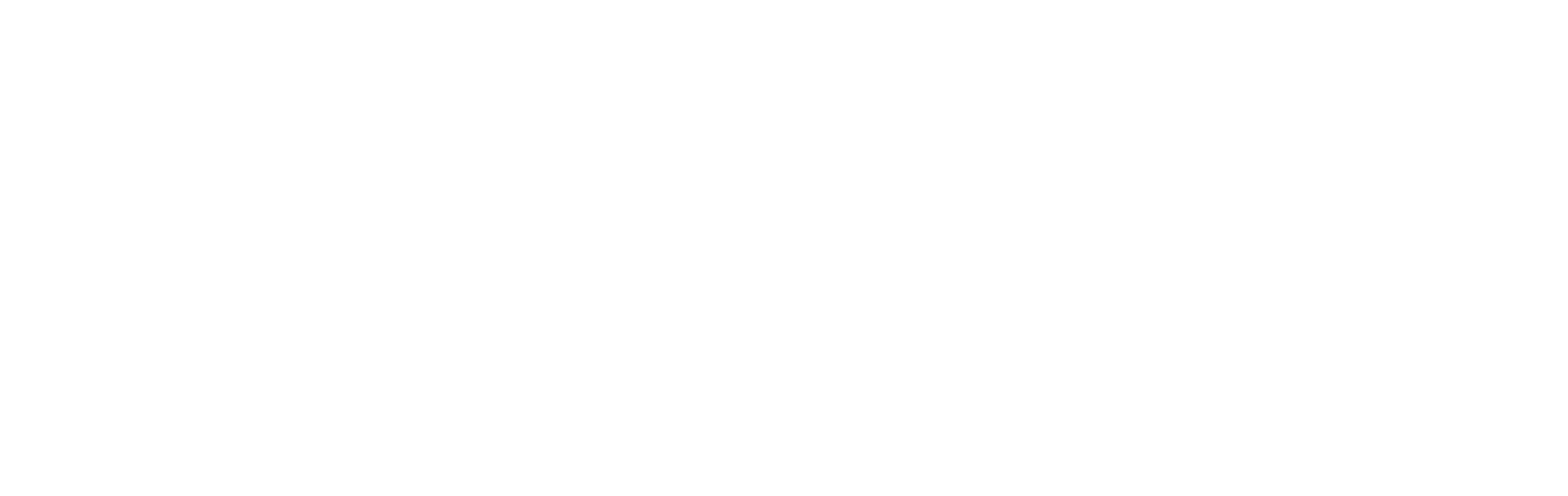 World BI