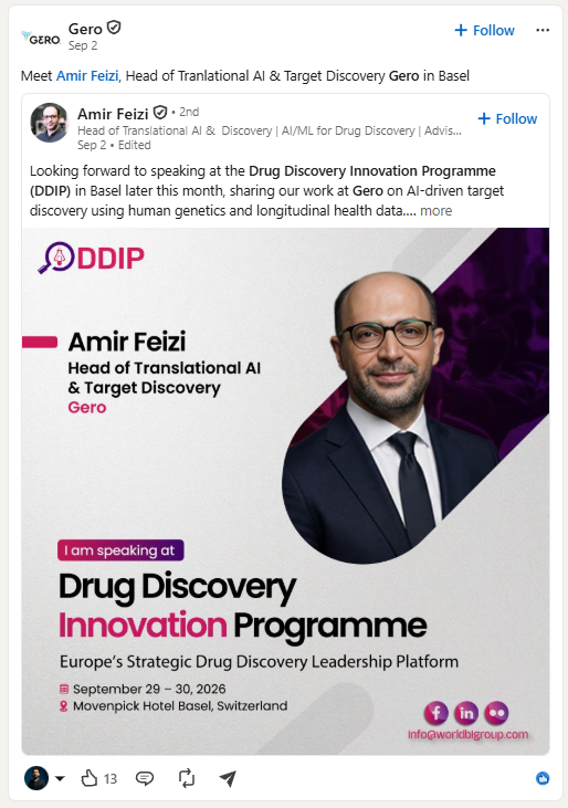 Amir Feizi, Gero